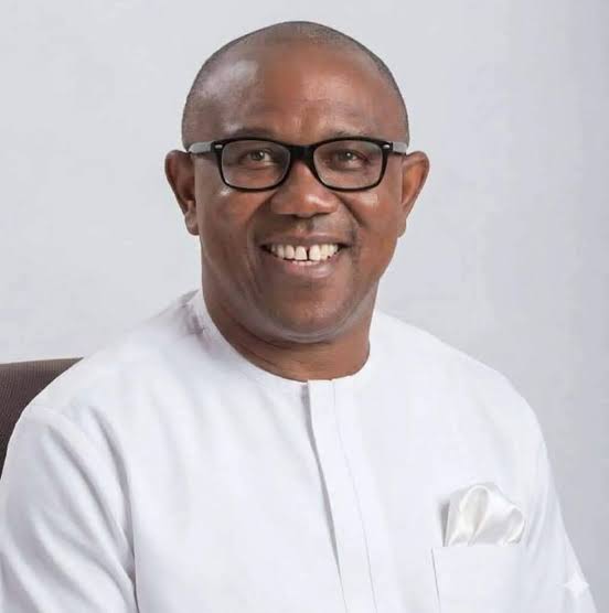 Peter Obi Core Economic Policy Pillars images (1)
